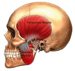 jaw muscle pain