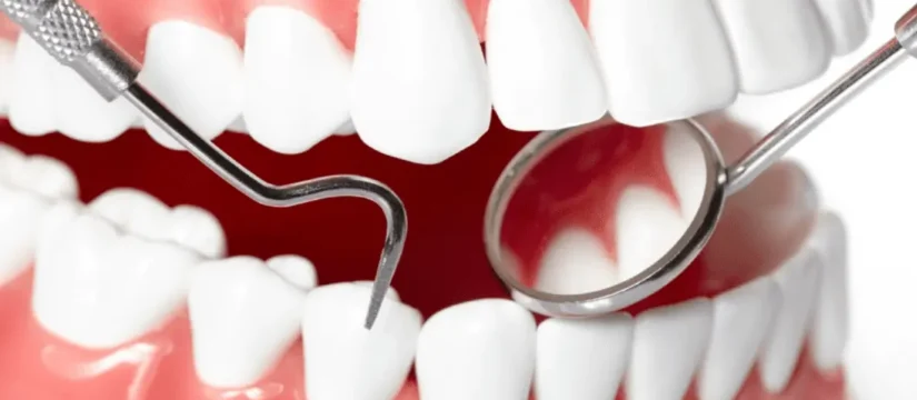 teeth model with dental mirror and pick